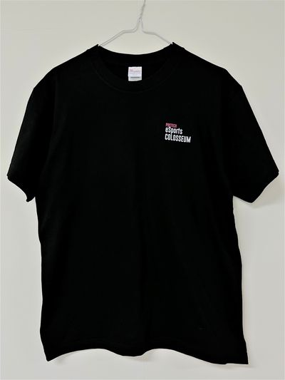 COLOSSEUM T-shirt (blak)